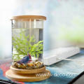 Small Glass Aquarium Bamboo Base Mini Fish Tank